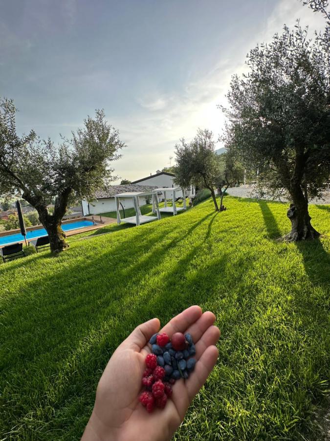 Agriturismo Maison 1933 Caprino Veronese Exteriér fotografie